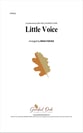 Little Voice Audio File choral sheet music cover